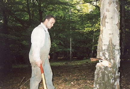 2004 03