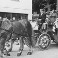 1954 22