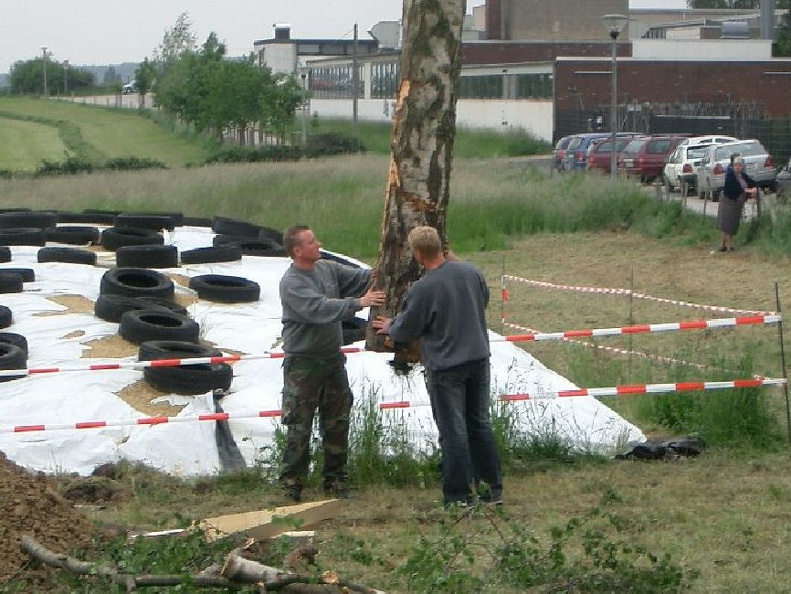 2006 11.jpg