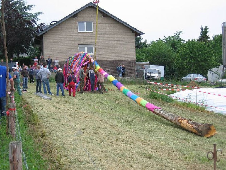 2006 20.jpg