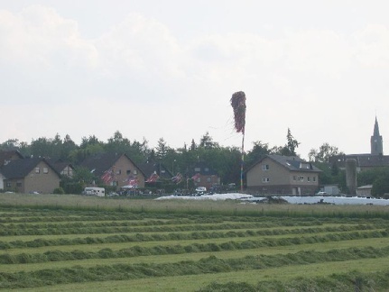 2006 32