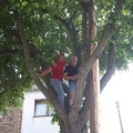 2007 31