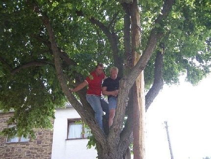2007 31