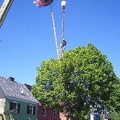 2008 1124