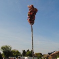 DSC 0191