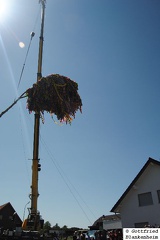 DSC 0048