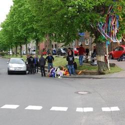 19.05.2013 Königsmaibaum und Knubbel