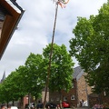 Koenigsmai 18