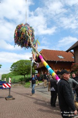 Koenigsmai 66