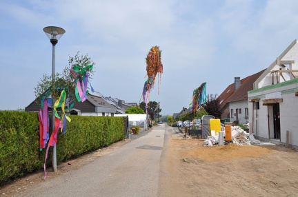 DSC 0409