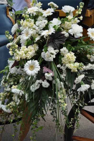 DSC_0458.JPG
