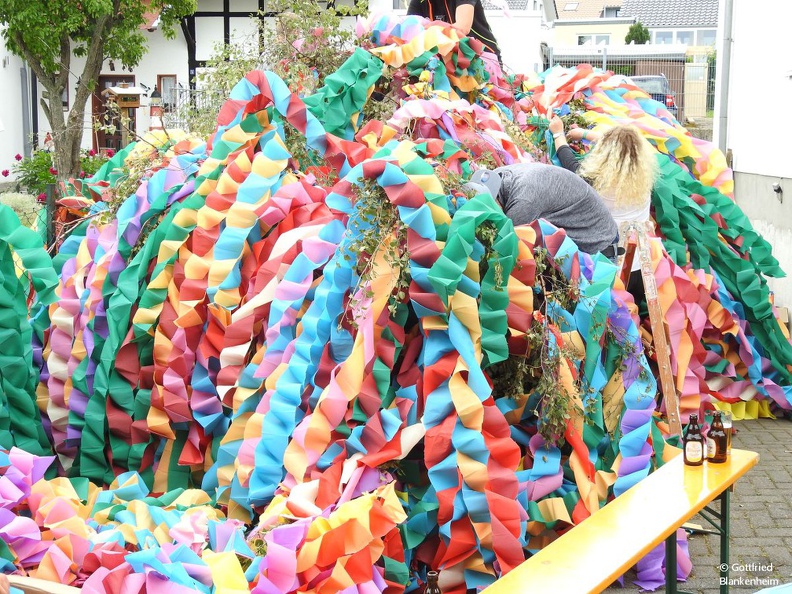 DSCN1527.JPG