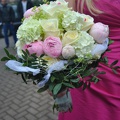 DSC 0061