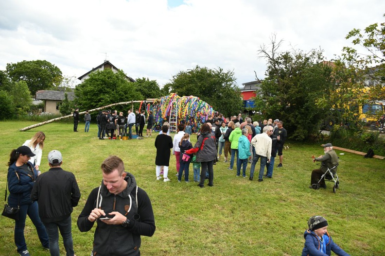 D75_9684.JPG