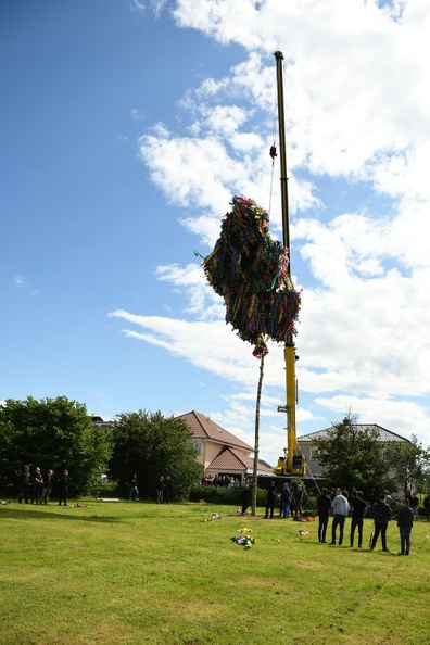 D75_9702.JPG
