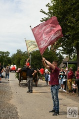 D75 9993