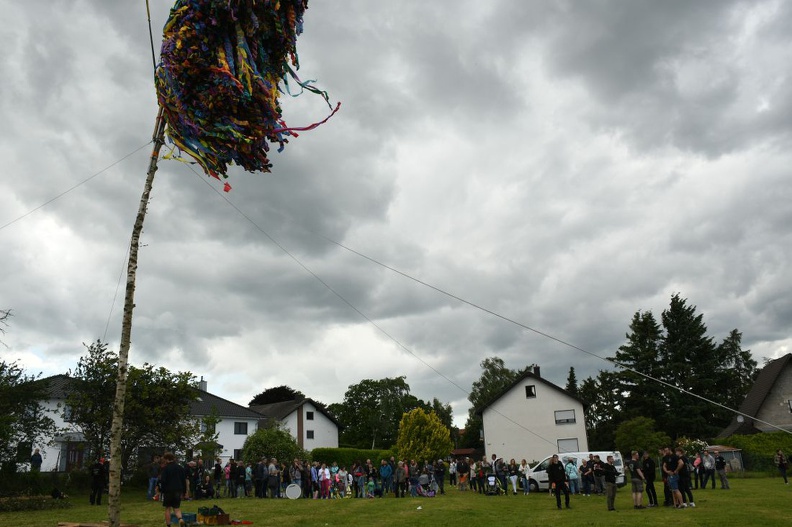 D75_9740.JPG