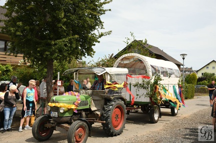 D75 9995 (31)