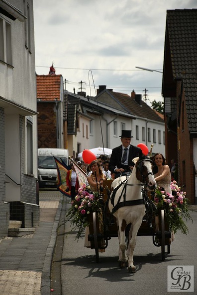 D75_9995 (62).JPG