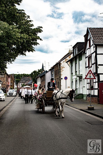 D75_9995 (100).jpg