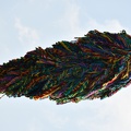 DSC 1701