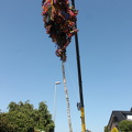 IMG 3704-min
