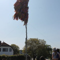 IMG 3736-min