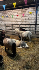 IMG-20250512-WA0018