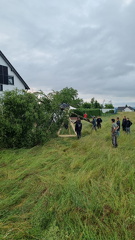 WhatsApp Image 2025-06-14 at 15.06.36 (3)