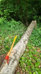 WhatsApp Image 2025-06-14 at 15.06.35 (2)