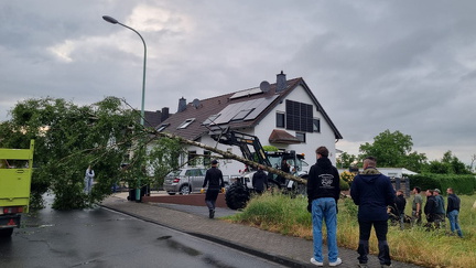 WhatsApp Image 2025-06-14 at 15.06.36 (1)