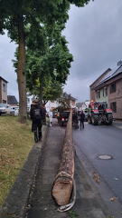 WhatsApp Image 2025-06-14 at 15.06.36 (7)